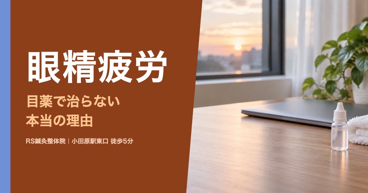 眼精疲労が目薬で治らない理由｜小田原の鍼灸整体院が解説