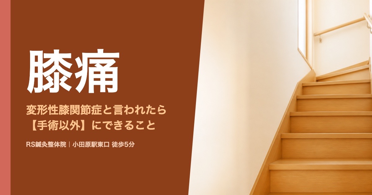 変形性膝関節症と言われたら｜小田原の鍼灸整体院が伝える手術以外の選択肢
