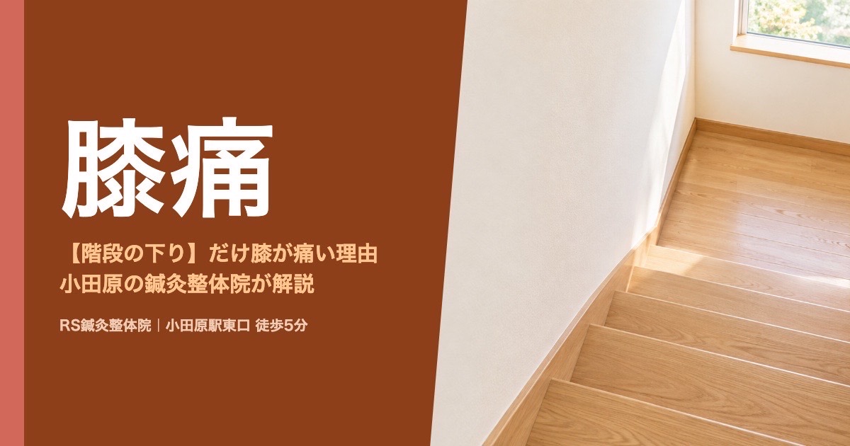 階段を降りる時だけ膝が痛い理由｜小田原の鍼灸整体院が解説