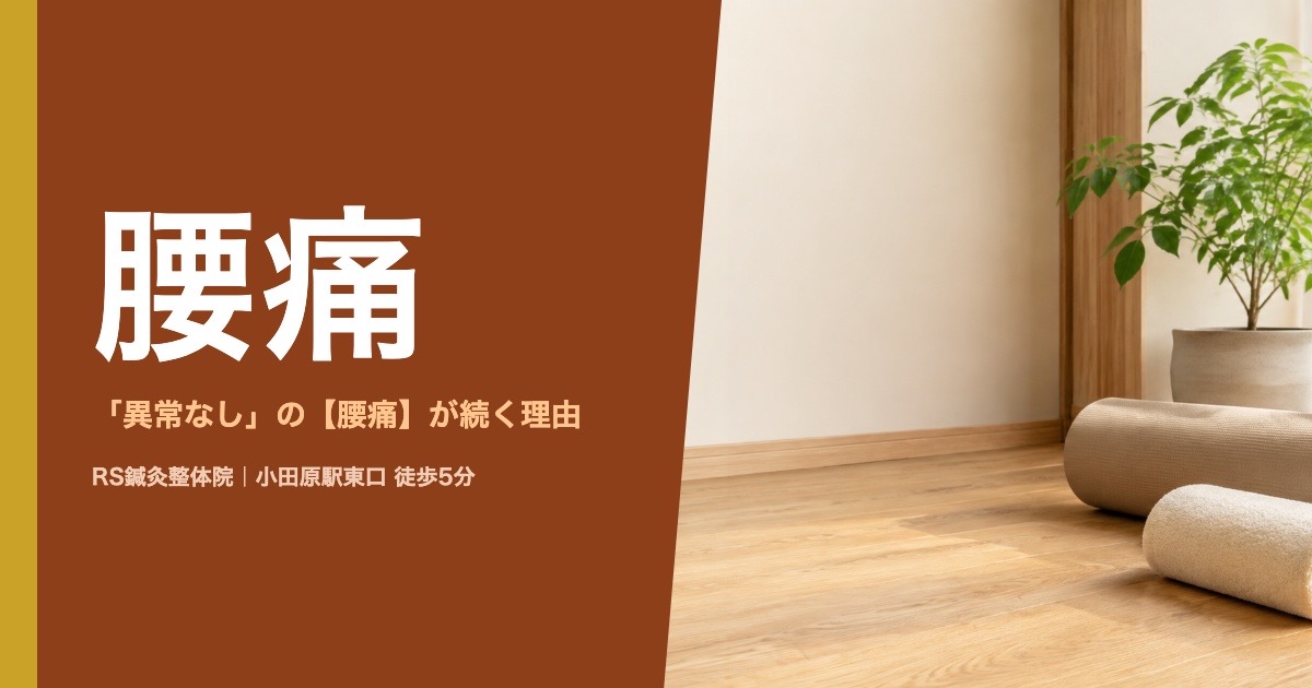整形外科で「異常なし」の腰痛が続く理由｜小田原の鍼灸整体院が解説