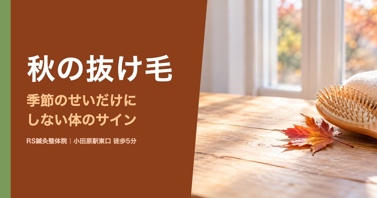 秋に抜け毛が増えるのはなぜ？頭皮と体のサイン