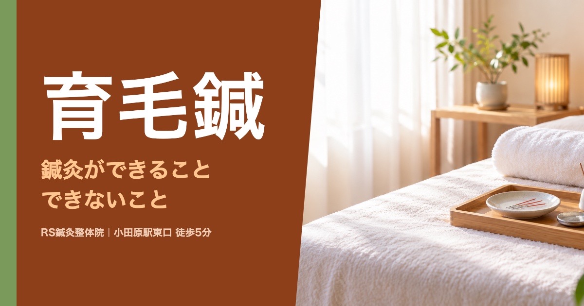 育毛鍼とは？薄毛に鍼灸ができること・できないこと