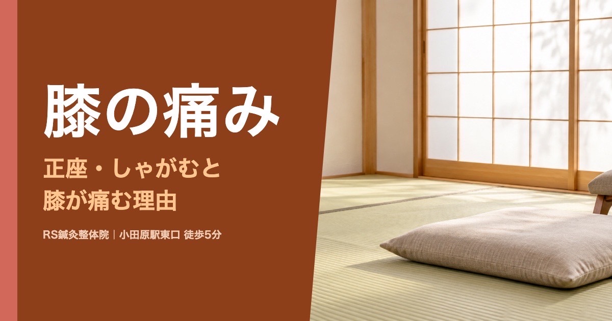 正座やしゃがむと膝が痛い理由｜小田原の鍼灸整体院が解説