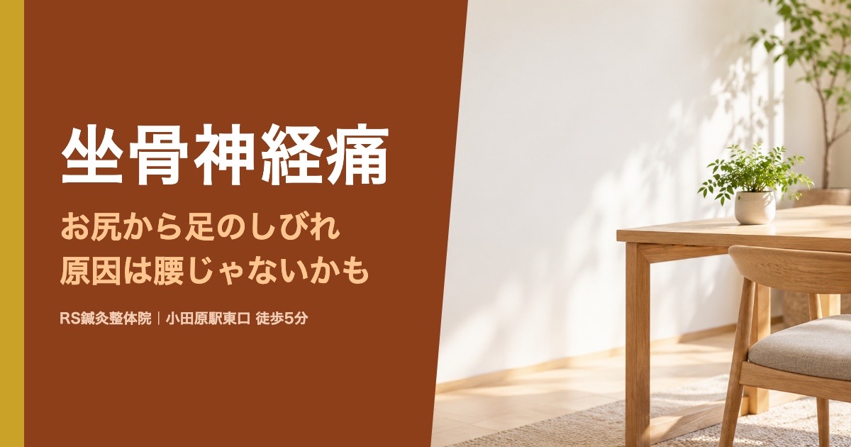 坐骨神経痛 お尻から足のしびれ 小田原の鍼灸整体院